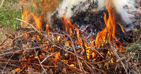 Restrictive/Open Burn Permits Available Starting October 6