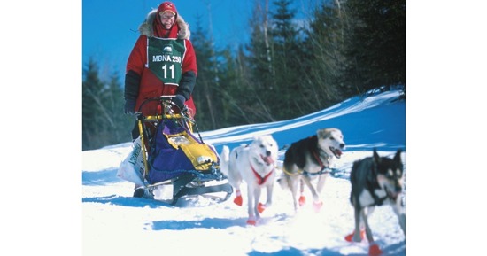 Sled Dog Presentation to Kick Off Thanksgiving Week Kids Programs at Grand Island Public Library