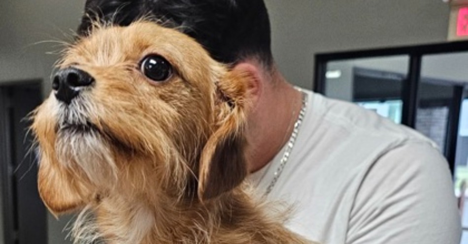 CNHS Features Gnocchi as Pet of the Week