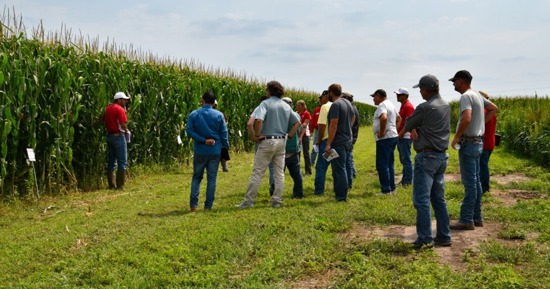 Aug. 11 South Central Agricultural Laboratory Field Day Features Interactive Talks, Demos and Innovation
